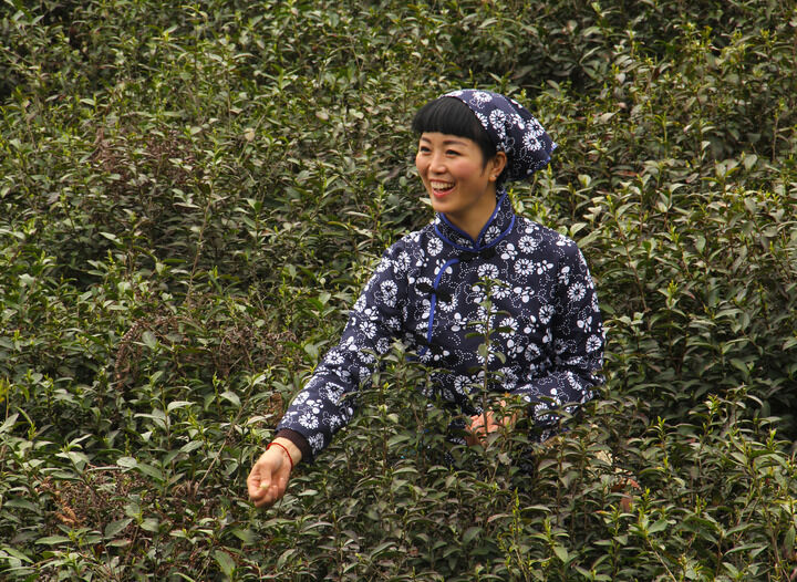 双面魅影